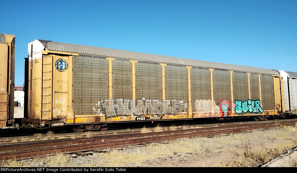 BNSF 24642 TTGX 989002